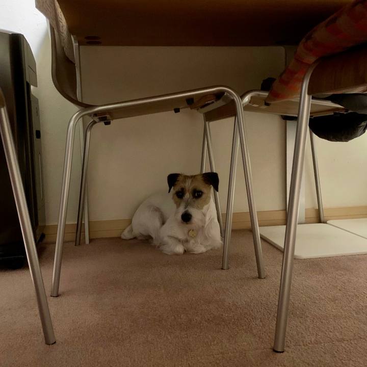 D8df0d56 1016 4657 971a d4cafc2a568a 1619870754776