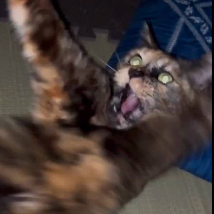 D8df4399 0496 46b7 879b 49c6f809b5ed 1773783315893