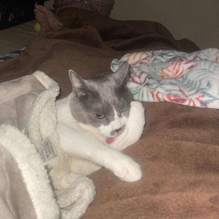 D8df46f9 733a 46ee 9064 606395950f31 1732585805726