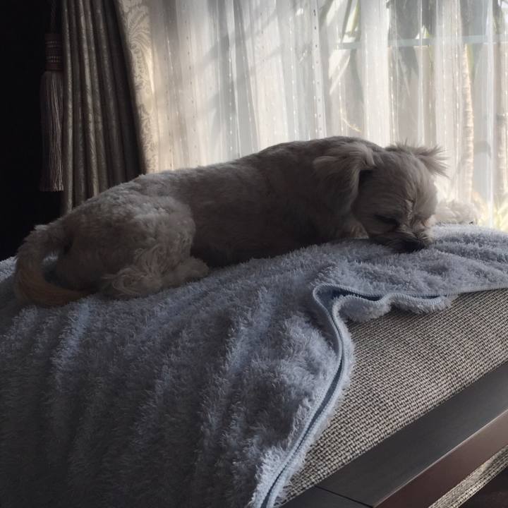 D8df6a7e 7460 422f b2b8 e59c80439005 1517228586911