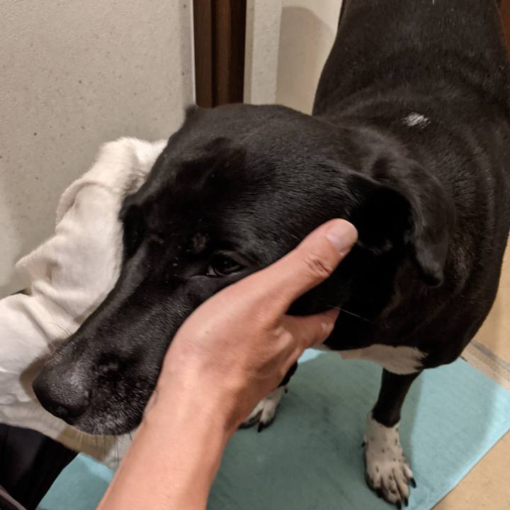 D8df6ef5 a917 43b8 8922 3fb2a63a2a43 1633514842466