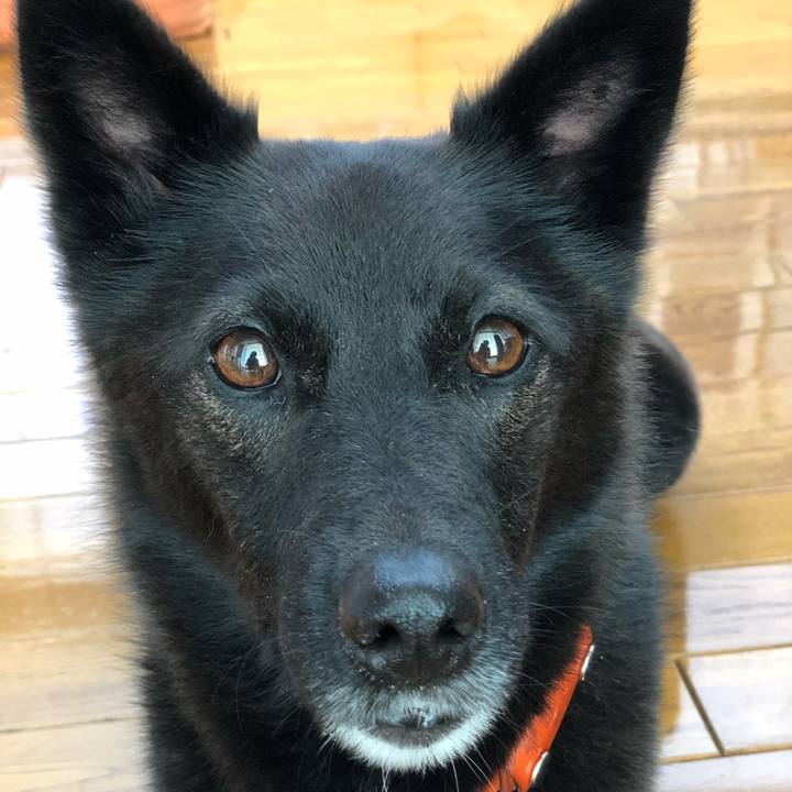 D8df75a9 186a 48f2 9e8a 34cbb215a152 1630162422524