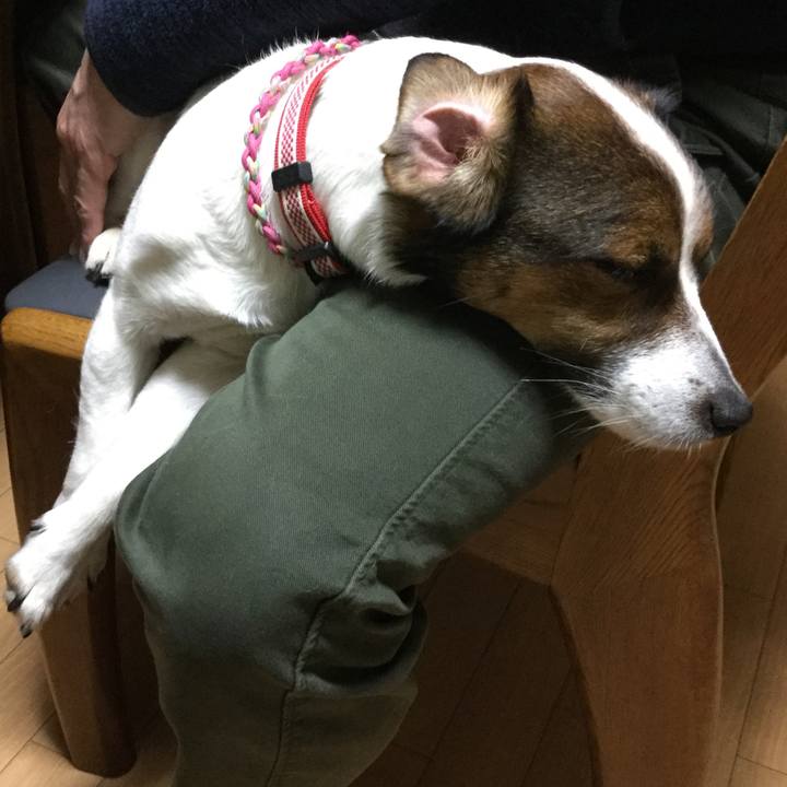 D8dfa847 58c4 4841 a542 48fc6cc2ff69 1523270865084