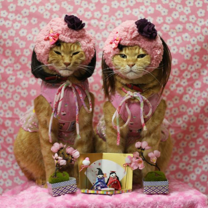 D8dfab3e a516 4699 b814 63d506709dd0 1520003797421