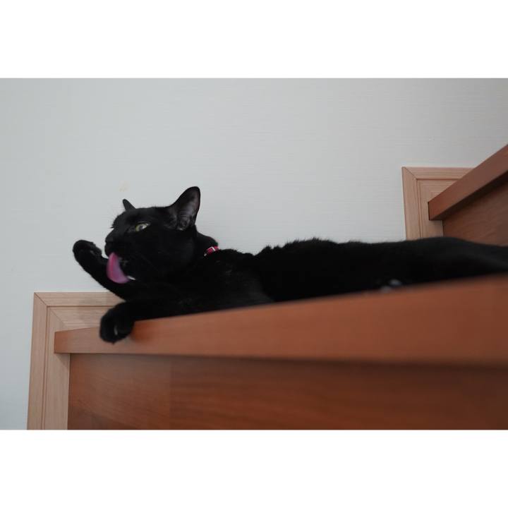 D8dfb94a 06eb 479a acb3 2831645d176c 1602596575155