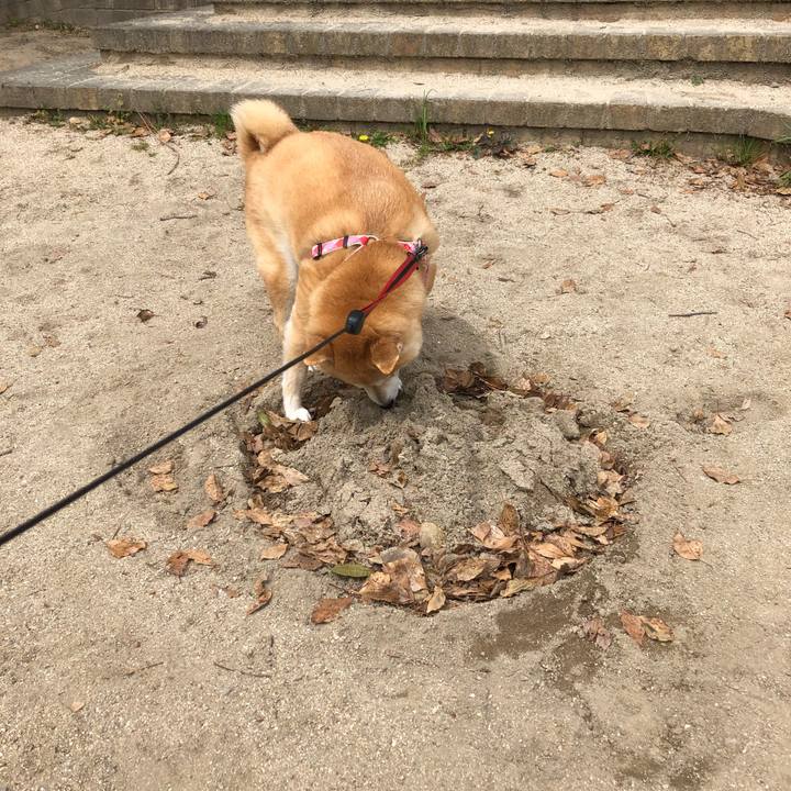 D8dfd717 571f 4f70 a30f d9bf3ef298d4 1555569340175