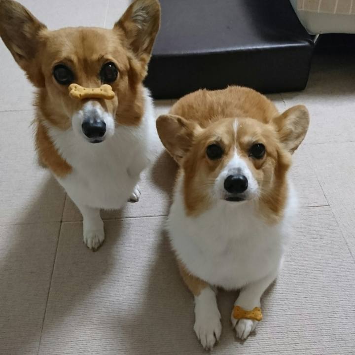 D8dff9a8 e48e 4294 811f b9507447e2d2 1540635541853