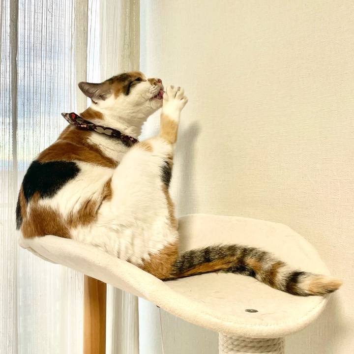 D8e02985 fe76 4b77 aeba eaa86eceb0f9 1766619012896