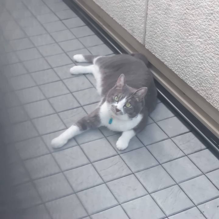 D8e05d54 3e84 409b bfff b441f7f22fca 1723501464268