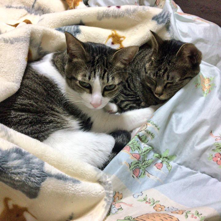 D8e07a02 4fb1 4674 897e 69ef39511e48 1514732101400