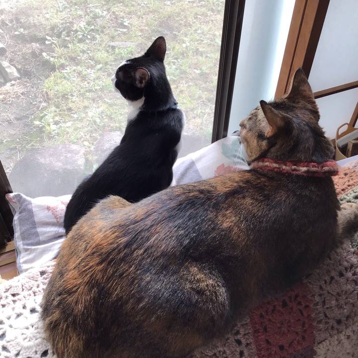 D8e08b85 8615 4159 9dea b37970d3735d 1634168561950