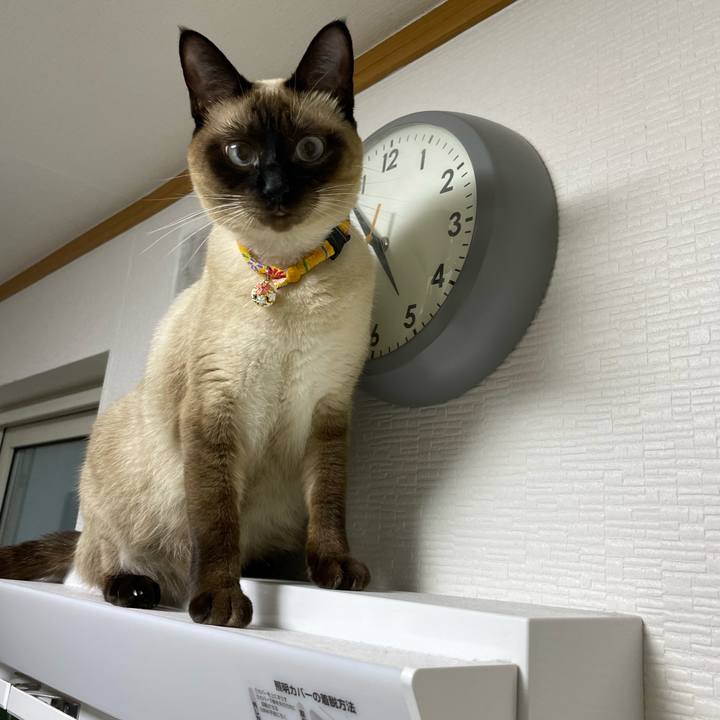 D8e0a011 7fc4 4636 a1e7 36008545ee23 1723060905096