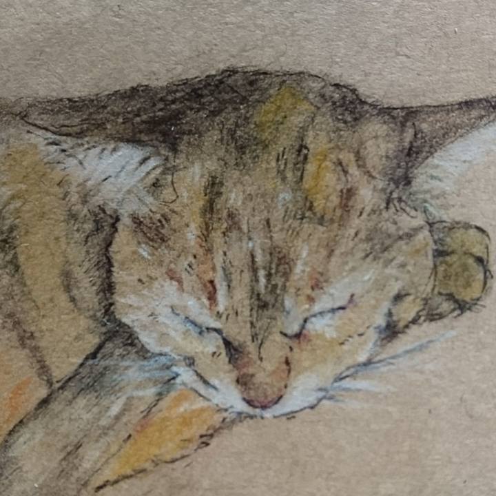 D8e0c20c 8e81 4cf8 8e06 89604a34e345 1520115752415