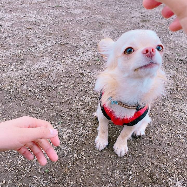 D8e0e53e 5b4a 4050 a23d 264c9be5f7e5 1620001316701