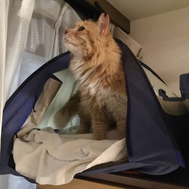 D8e0eea5 be8e 4aa5 a031 9c51e79304b0 1618288708406