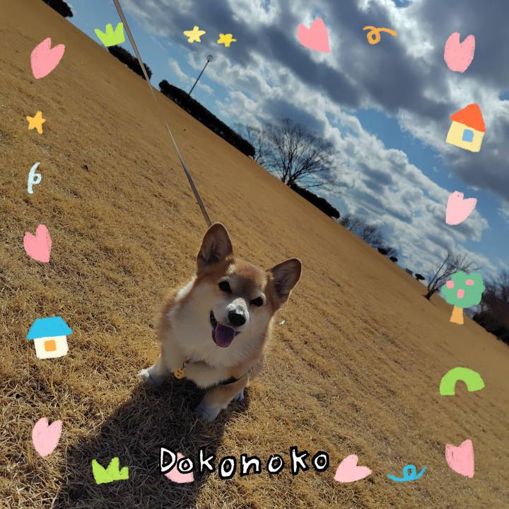 D8e0fb7a a828 4c2a a025 0a9a362cc21b 1741514044919