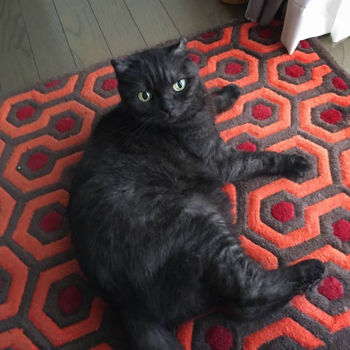 D8e10916 f490 4b05 8eca 53c109b9f7fb 1567131459519