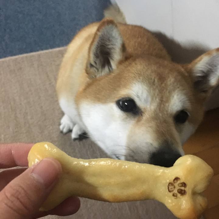 D8e120fe 540b 4dc7 af76 56bbbc06fd55 1606186227461