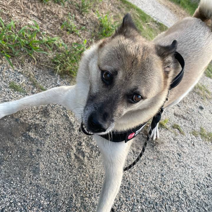 D8e1ab95 ae09 48bc beef 3cdd6b909892 1725625265878