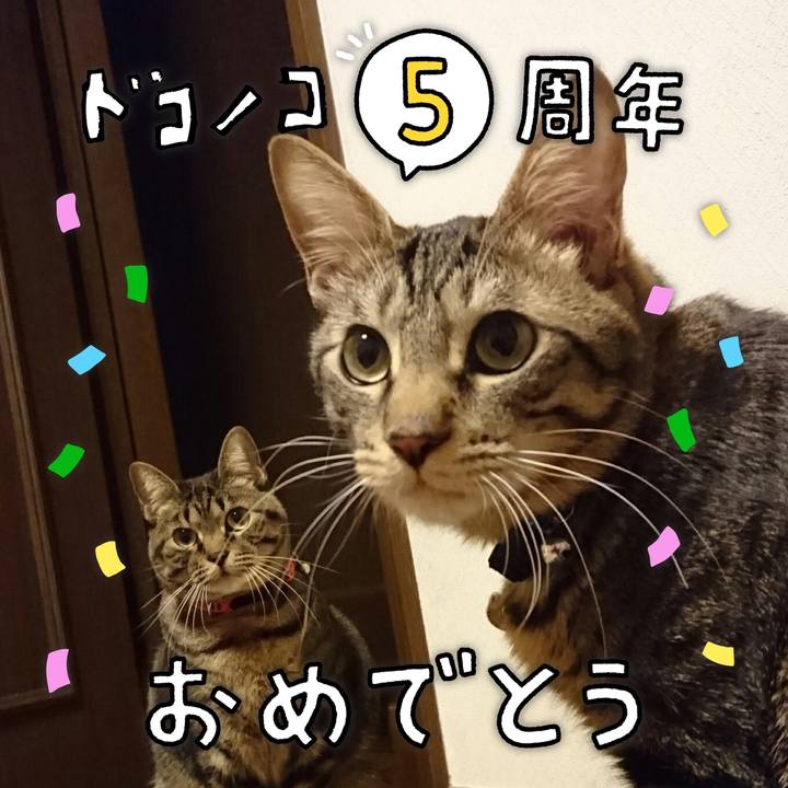 D8e1c470 8d26 4ba3 acef 2699d95b0f8d 1622897237738