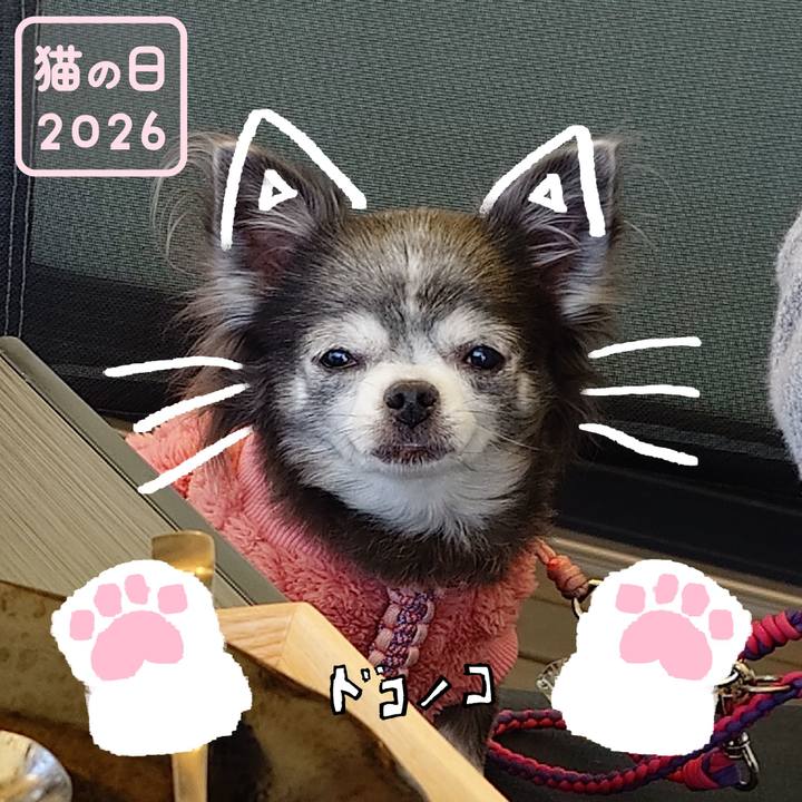 D8e1f3ea c8ec 48e1 a08f 634431a379af 1771765863034