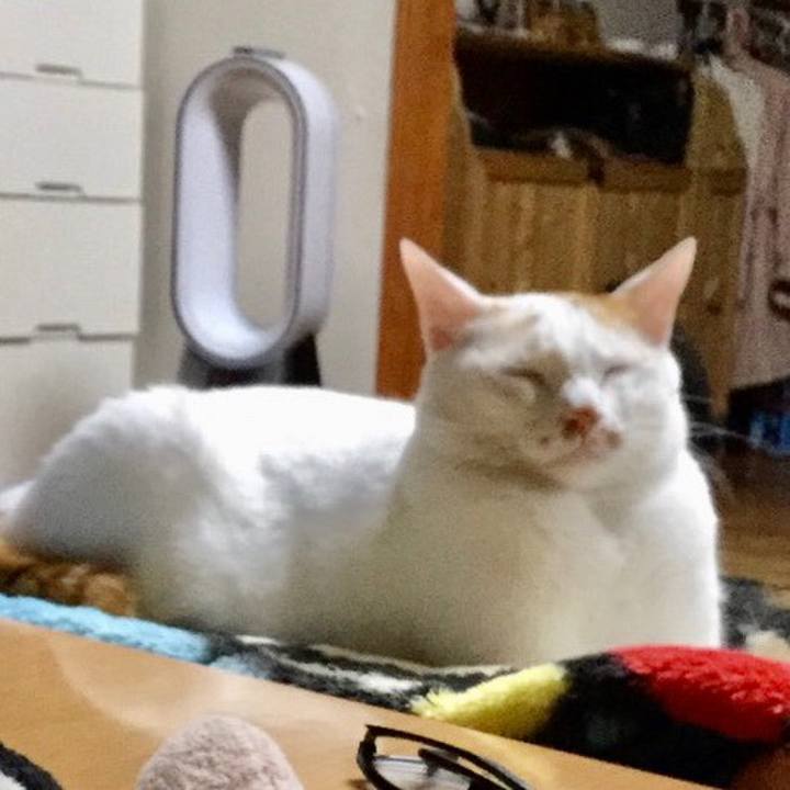 D8e22cc5 b960 493d a9f3 2c8870ae6d1f 1574133465395