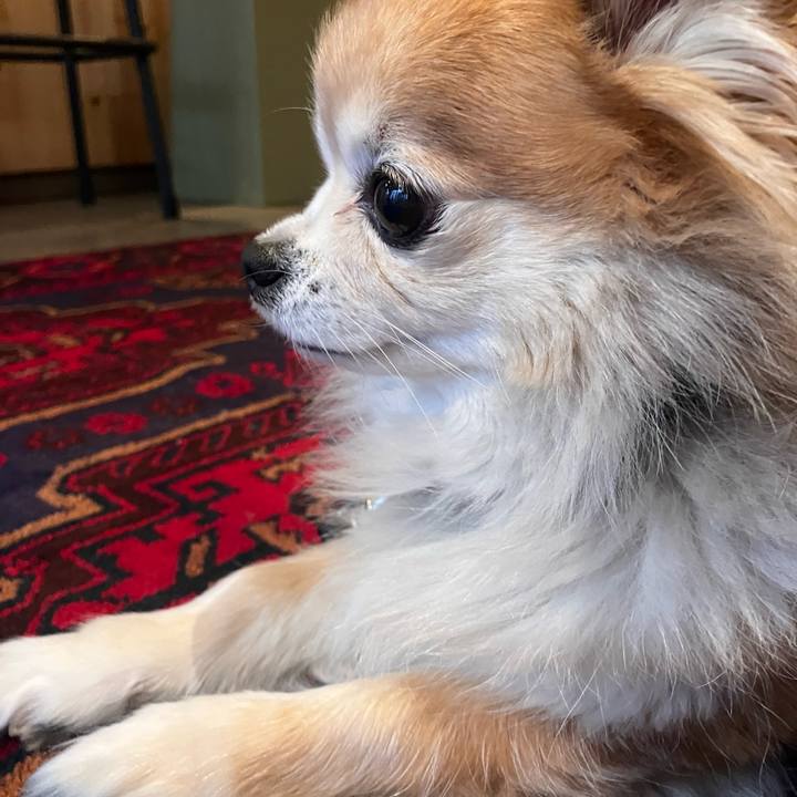 D8e25a65 e30c 404f b76d 5190cb3fa94c 1770987365663