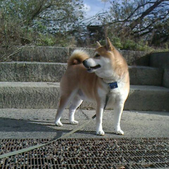 D8e25c05 2e4d 4eca bebd 4acfd2eba481 1575523989344