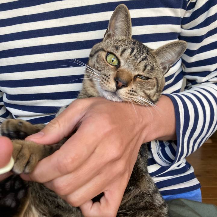 D8e2901b c5ec 433f 8a6e 08e8b26faa7a 1678496968684