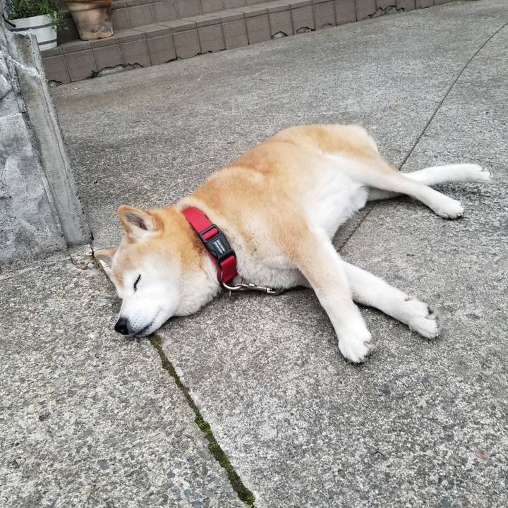 D8e29a06 d813 437c afbc ddb7bcdc1e2a 1712565502346