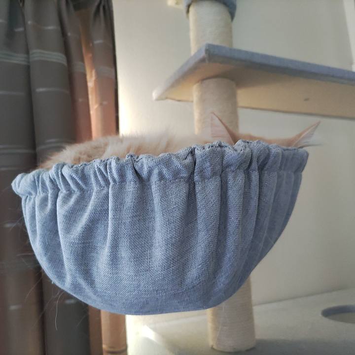 D8e2b559 d418 4436 80cf 49d8ee97f8ea 1705456794256