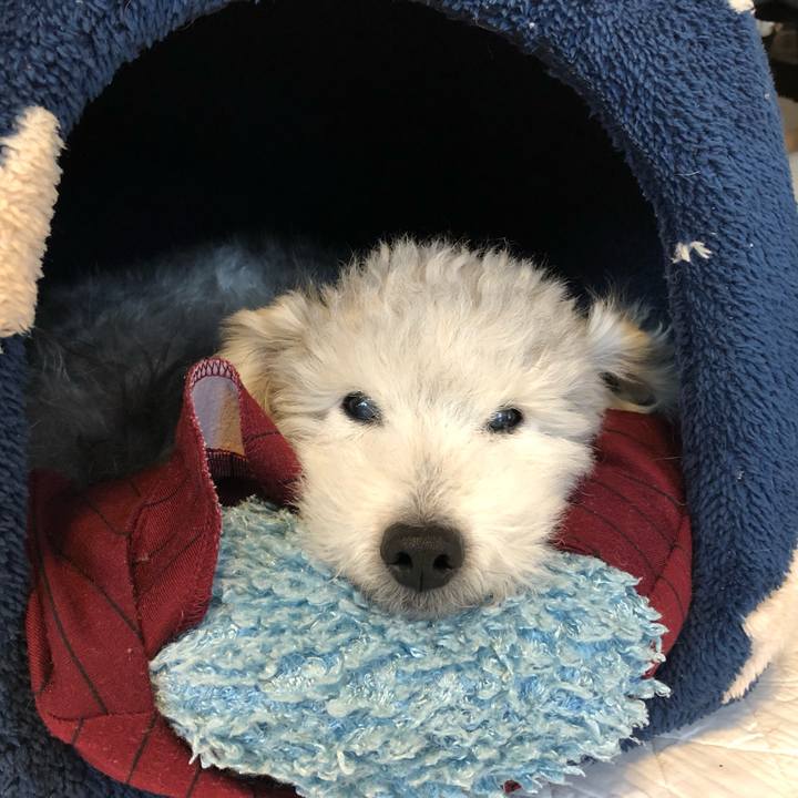 D8e30b60 51d3 41b7 82b9 4e61e64ca1ac 1601943109345