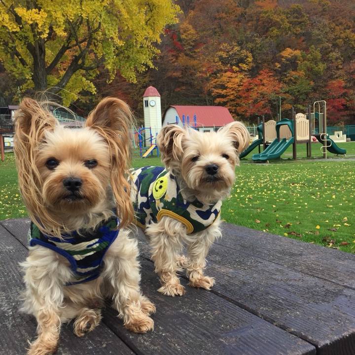 D8e31e1e a2a7 411f b7f3 ca49dc29a4ff 1541153146828