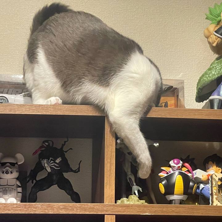 D8e33463 97d3 454a 8425 c73ae77d52e3 1630492894694