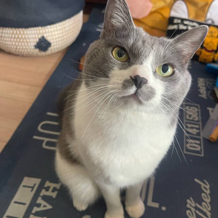 D8e352b7 4ae4 4ac5 a2df 975467db1c00 1738461246169