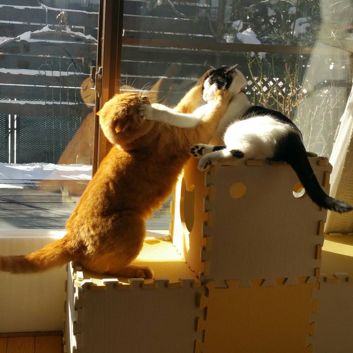 D8e352e6 bbd4 4157 9030 272b6bd170e9 1519256671813