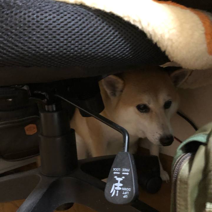 D8e3742d c875 410e a69d 11ae76d3dd01 1568197913526