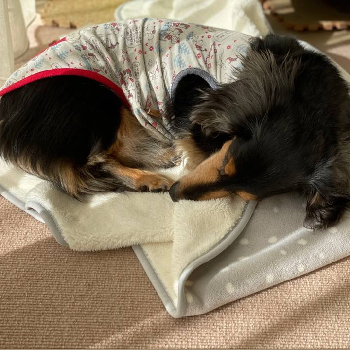 D8e38932 dd62 45e9 aa1e 7afa2b45c6ed 1641270526733