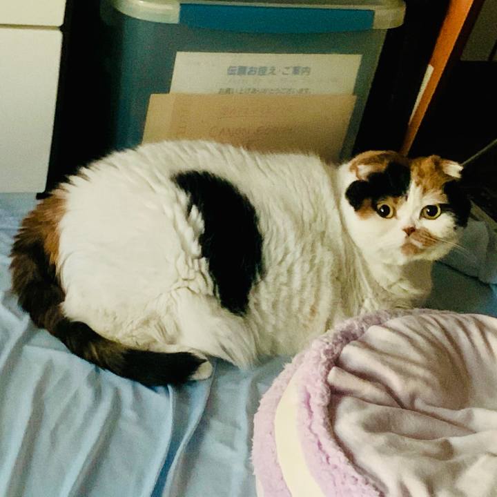 D8e3940c a7fd 46ce b1da 62b384e69437 1571089565893