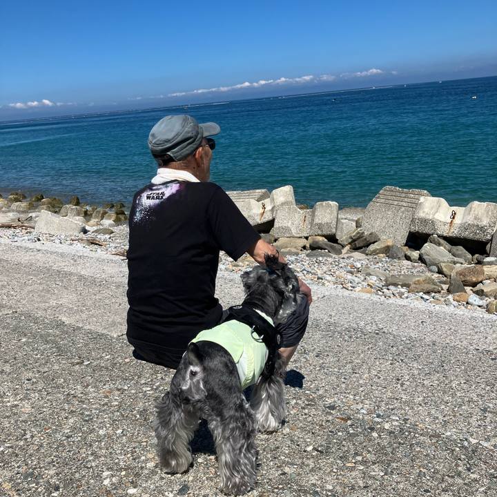 D8e3ab52 96da 4af4 aa89 f92c07128f8e 1719634279321