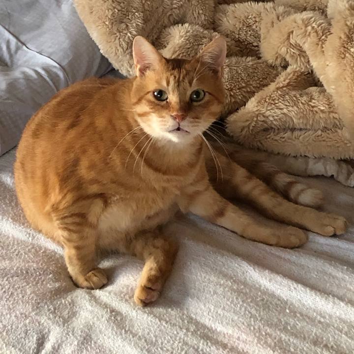 D8e41149 13ef 440b a199 1a18c9665f4e 1604439879828