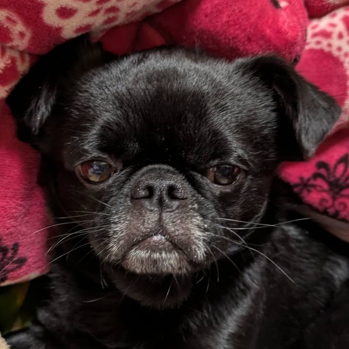 D8e45bbf 32e8 4beb ac1a 98013e86d53d 1767013152462