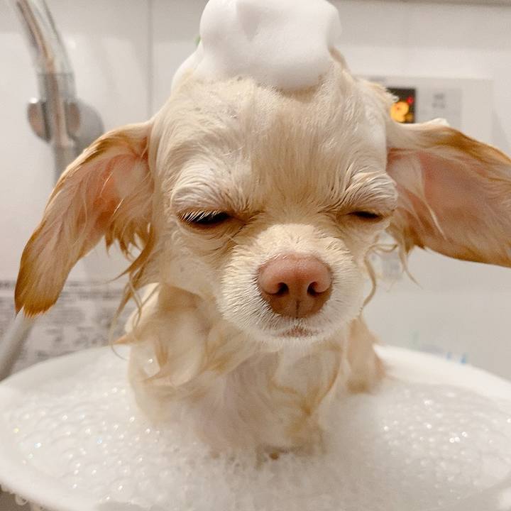 D8e4606b 5c3d 4101 971b fd6d45512771 1616211523482