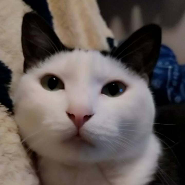 D8e47295 4171 4a35 a0f7 5a5b4b65e93c 1602317769725