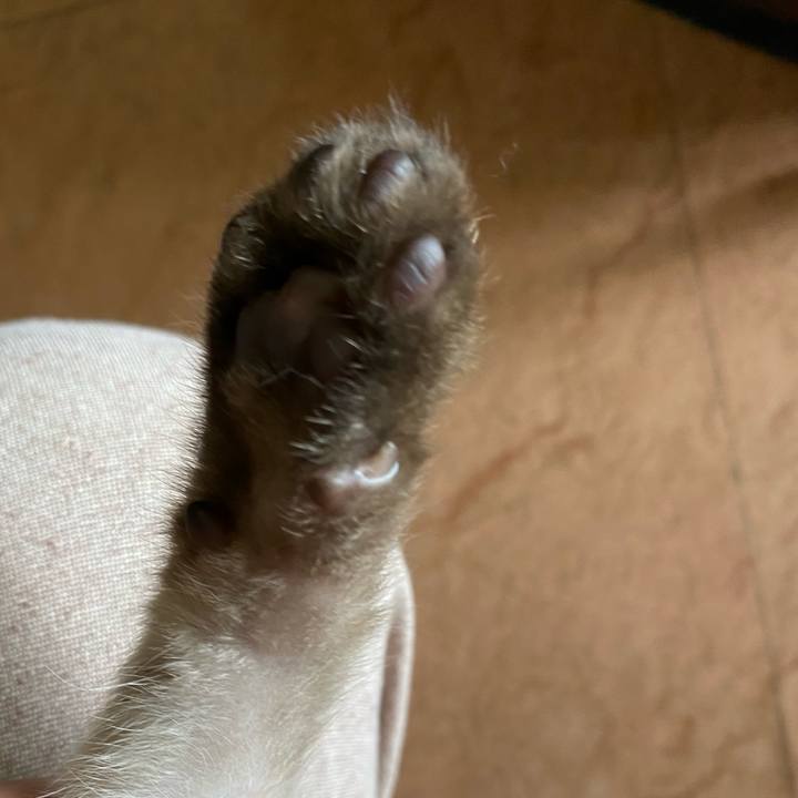 D8e4c7d3 453a 4ff2 b477 57ca4b01a2d4 1687656512166