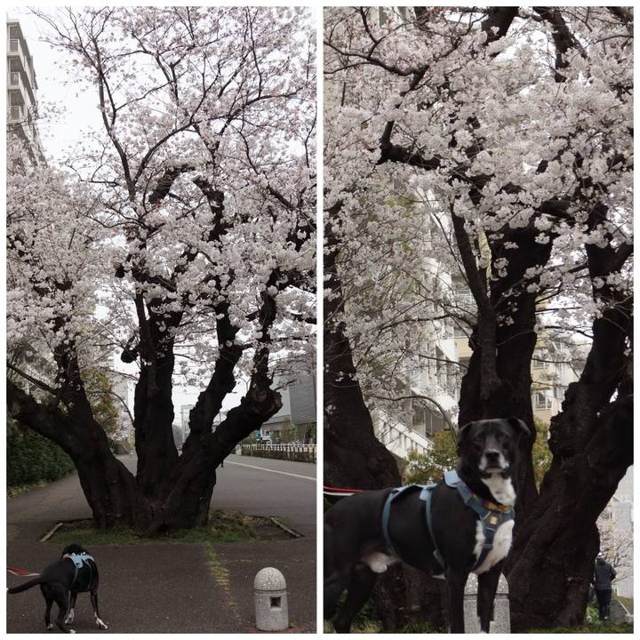 D8e4cf02 f9d2 45d8 b109 a3eff0c28313 1712367684873