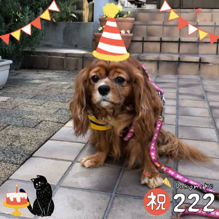 D8e4e53d 94fd 4c9a a356 83813828a2ad 1645575944935