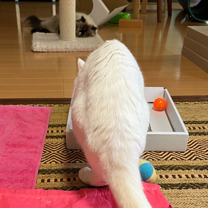 D8e4ef68 015c 483d a8f1 e5eef0b56078 1663467668619