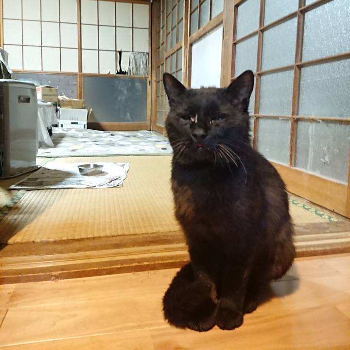 D8e4f981 1255 4eee a9f7 f54b9710b961 1623933630499