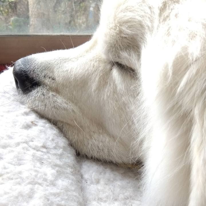 D8e5511a b6be 404b 9efc b6433ddb597c 1677200493651